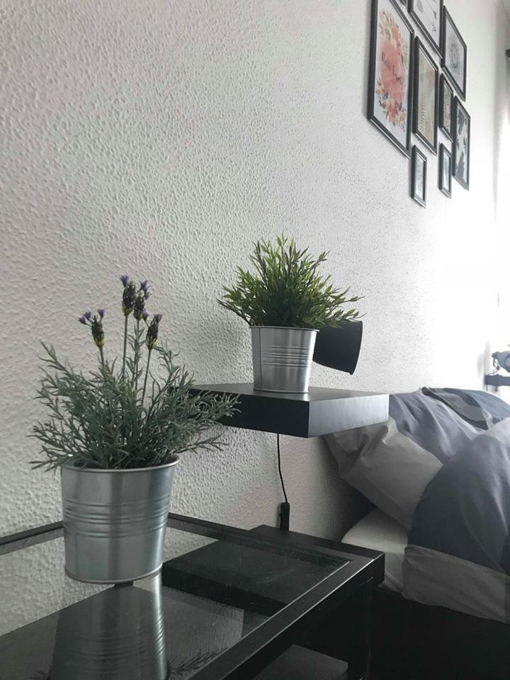 Mandala Bed & Breakfast Viterbo Ngoại thất bức ảnh
